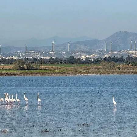 Yialos Village By Cybarco 拉纳卡