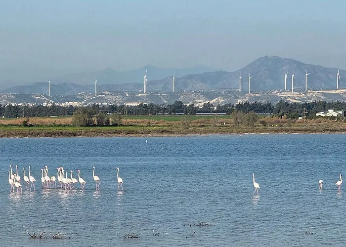 Yialos Village By Cybarco Λάρνακα